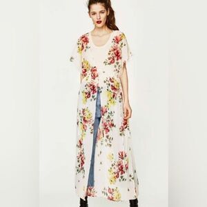 ZARA Sheer Dress or Coverup
